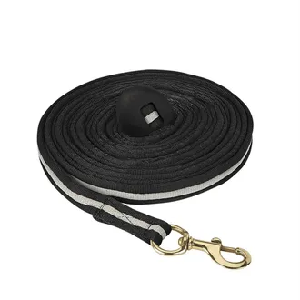 Here are some common lunging equipment