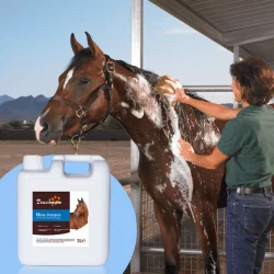 Here's an overview of essential horse care practices