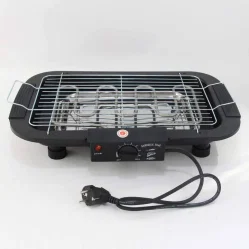 Features and aspects of an electric oven BBQ