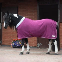 Key Considerations for Choosing a Horse Blanket