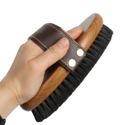 Common Items You Might Find in a Horse Grooming Kit