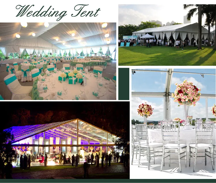 40m Steel Geodesic Done Tent / Half Sphere Tent with Air Conditioner for Party Event
