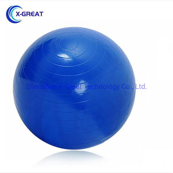 55cm 65cm 75cm Yoga Ball Explosion-Proof 55cm 65cm 75cm PVC Yoga Ball for Women
