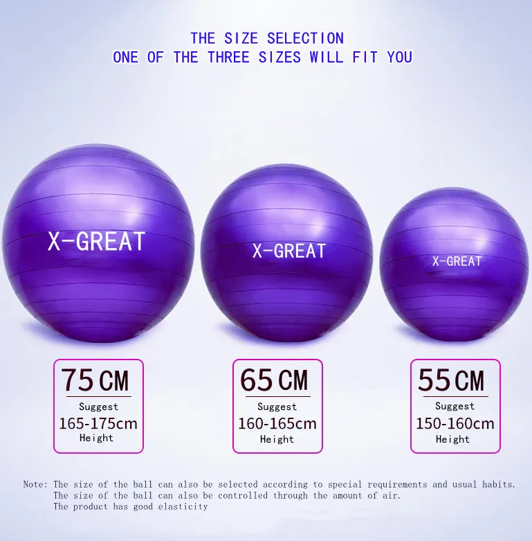 55cm 65cm 75cm Yoga Ball Explosion-Proof 55cm 65cm 75cm PVC Yoga Ball for Women