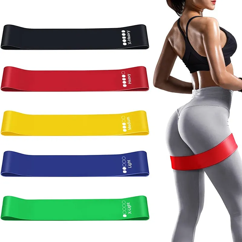 Amazon Best Selling Fit Simplify Resistance Loop Exercise Bands with Instruction Guide and Carry Bag, Set of 5
