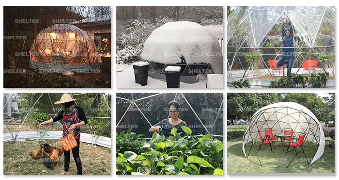 Backyard Party Tent Family Gathering Geodesic Dome Tents Igloo