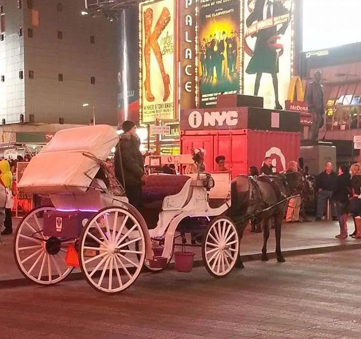 Best Selling Sightseeing Electric Marathon Royal Horse Carts/Horse Wagon/Horse Carriage for Sale
