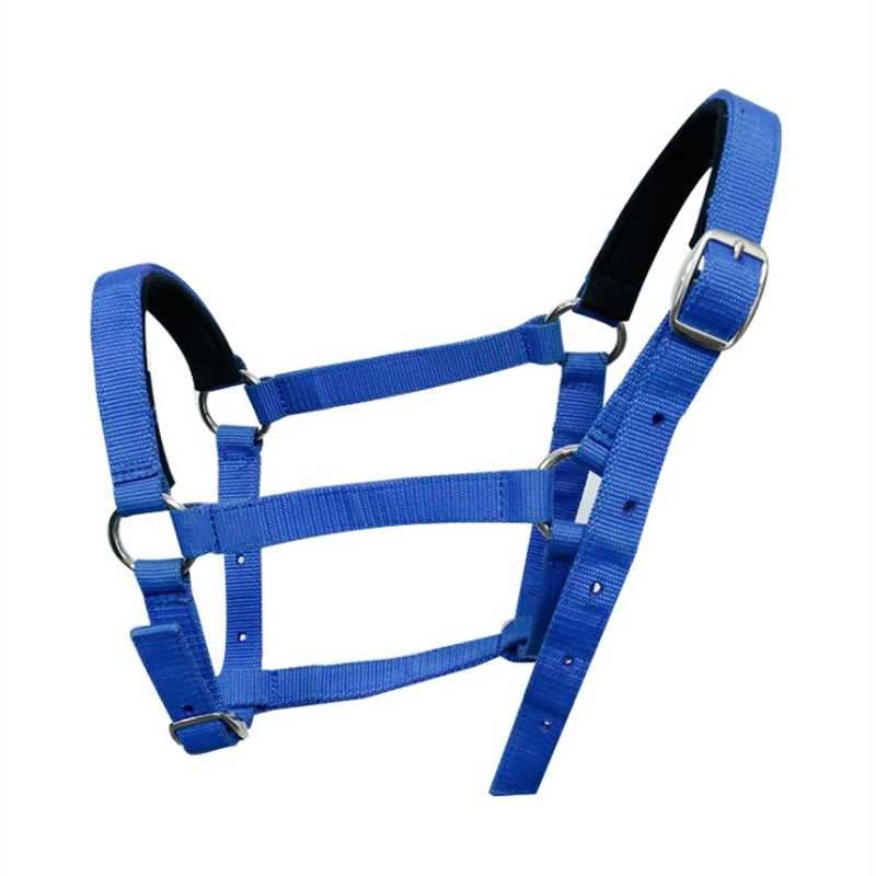 Colorful Adjustable Horse PP Halters for Horse Racing and Riding