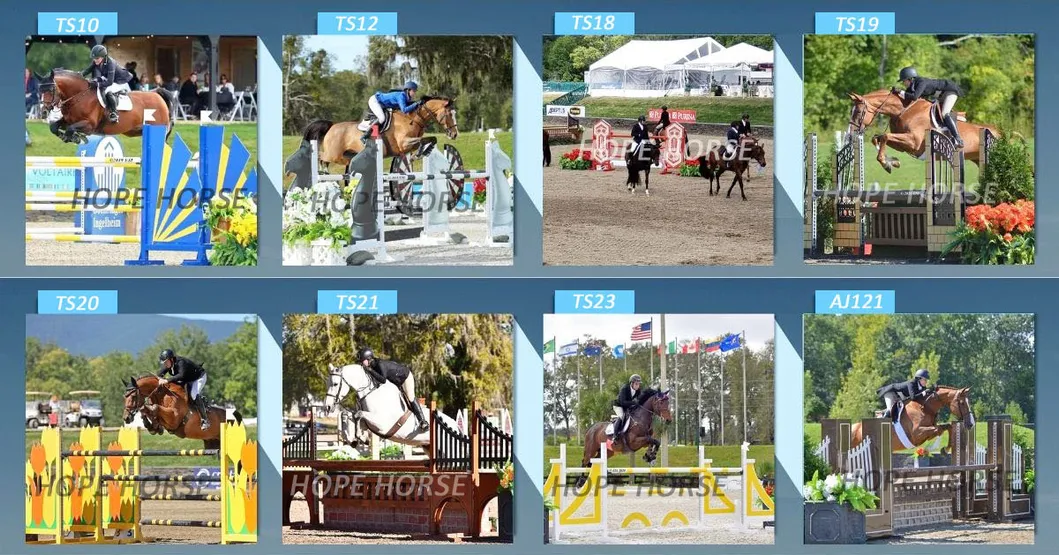Horse Products Jumping Fence Horse Show Jumping with Keyhole Track Horse Training